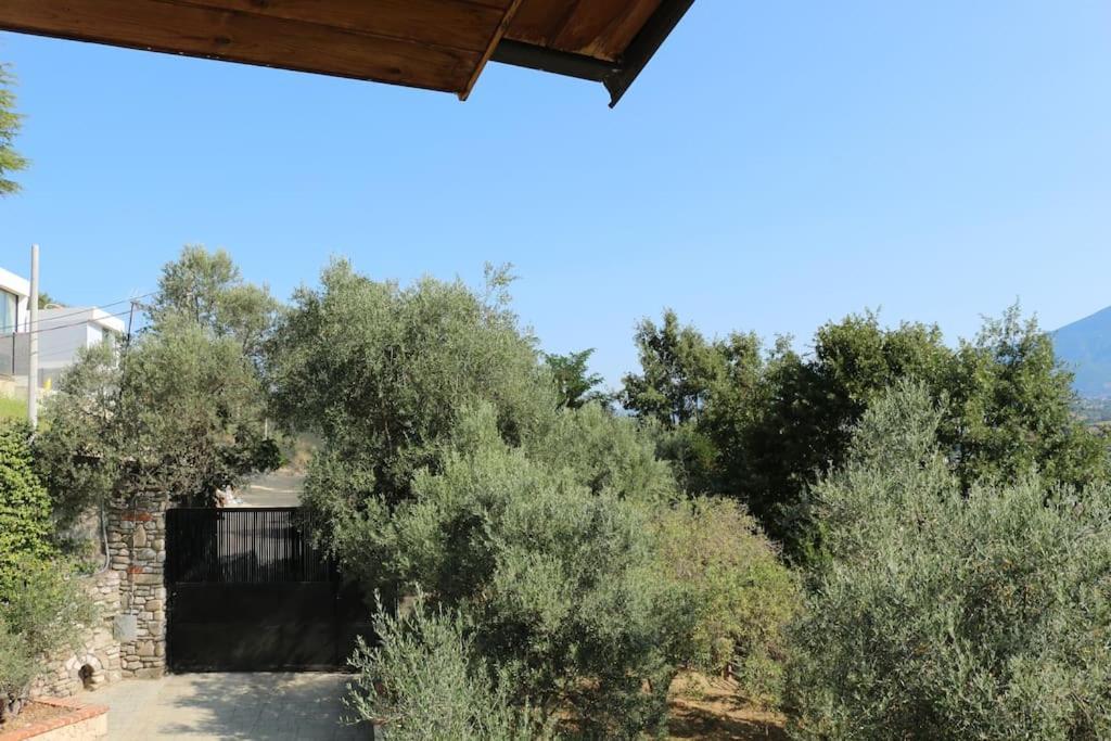 Private Hillside Villa Near Teg Full Privacy Tirana Exterior photo